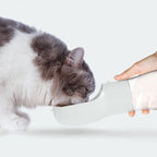 Cat drinking from the bottle held out by a hand