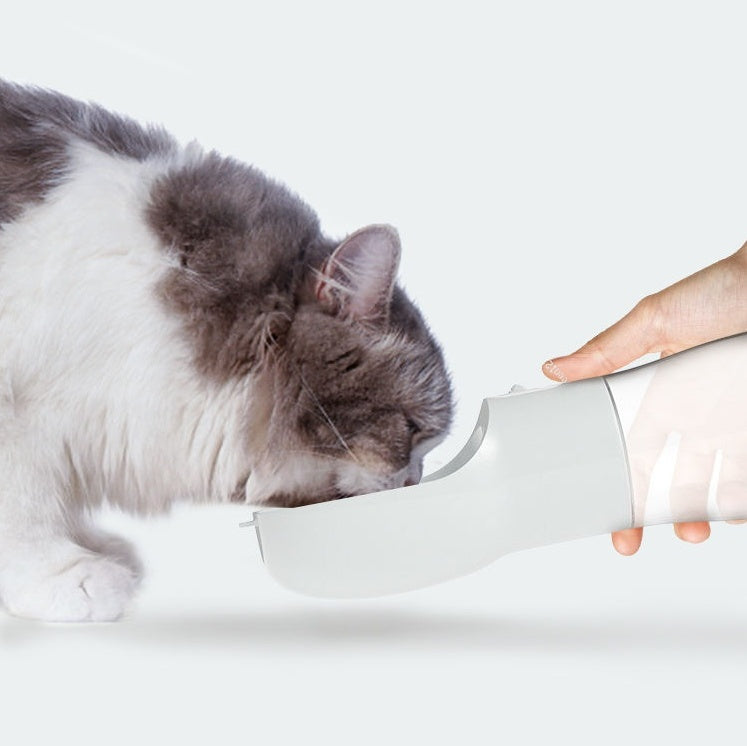 Cat drinking from the bottle held out by a hand