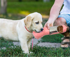 Person offering the pink bottle to a labrador puppy on grass