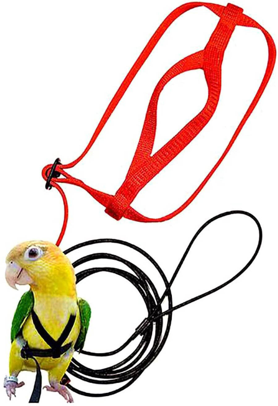 Parrot Harness and Leash Set with Adjustable Figure-Eight Strap and Bite-Resistant Metal Chain