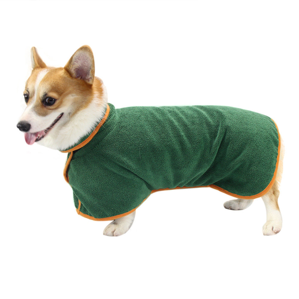 Corgi wearing the green bathrobe, side view