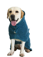 Labrador sitting in the blue bathrobe