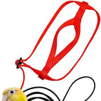 Red harness and leash set laid out on white