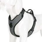 No-Pull Nylon Dog Harness with Reflective Chest Strap, Adjustable Fit, XS to XL