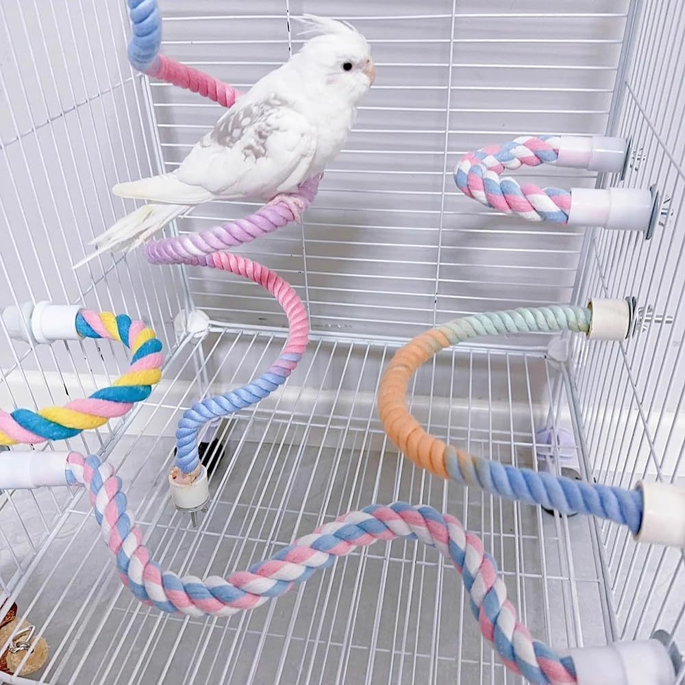 White budgie standing on the rope perch inside a cage