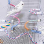White budgie standing on the rope perch inside a cage