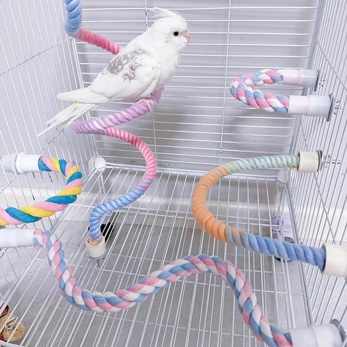 White budgie standing on the rope perch inside a cage