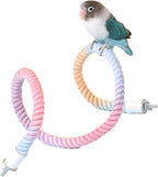 Lovebird perched on a coiled pastel rope perch