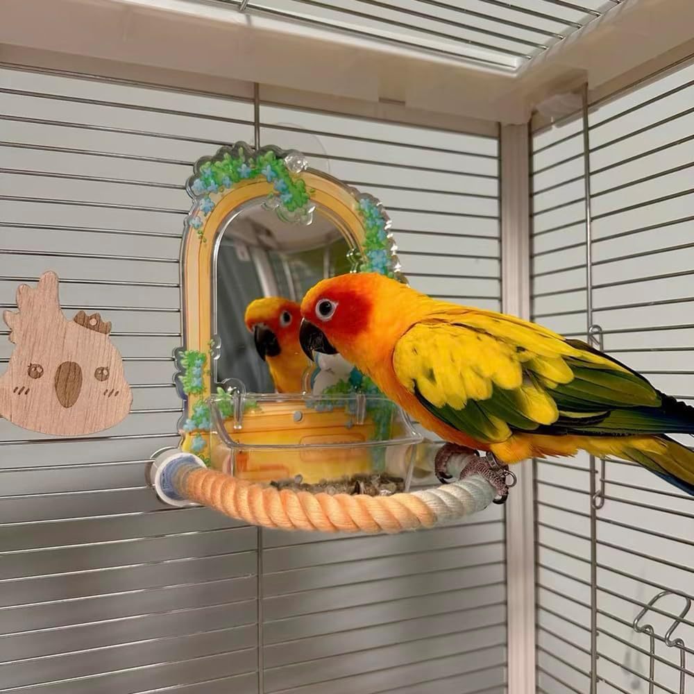 Sun conure standing on a rope perch beside a mirror toy