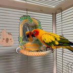 Sun conure standing on a rope perch beside a mirror toy
