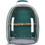Dark green transparent carrier backpack with a perch