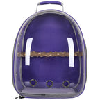 Purple transparent carrier backpack with a wooden perch