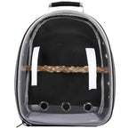 Black transparent carrier backpack with a wooden perch
