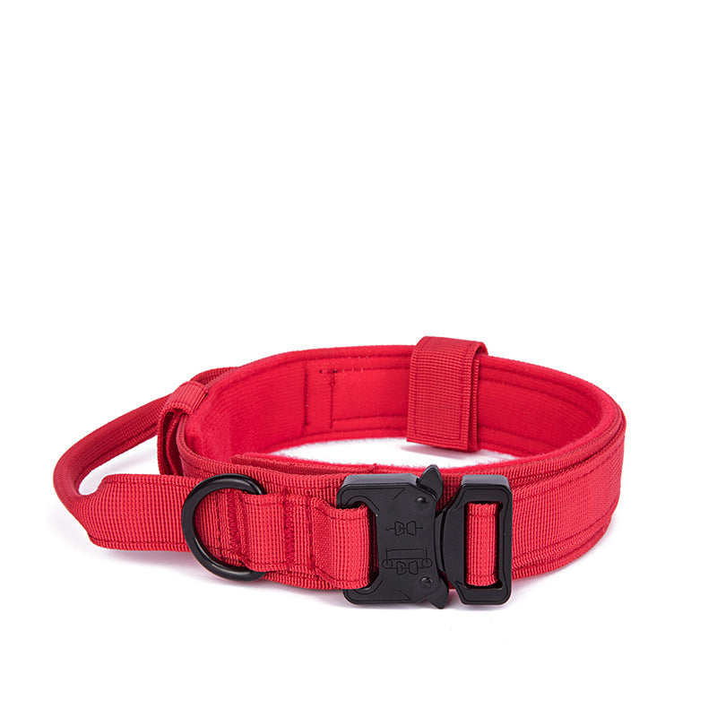 Dog Collar and Leash Set in Heavy Nylon Webbing with Padded Handle or Bungee Traffic Loop, Sizes M to XL