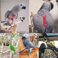 Parrot Harness and Leash Set with Adjustable Figure-Eight Strap and Bite-Resistant Metal Chain