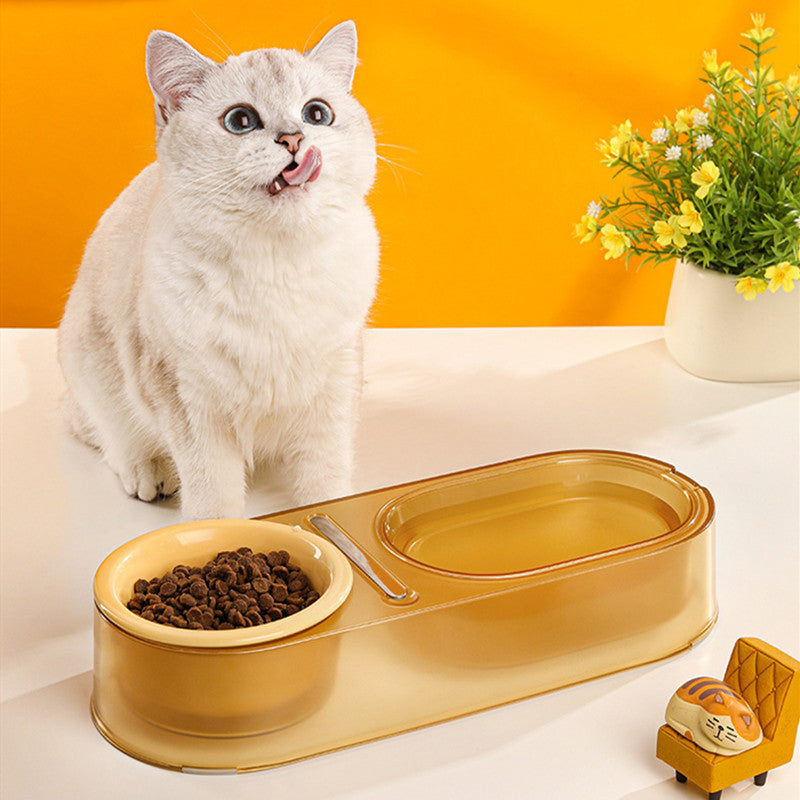 White cat beside the amber double bowl filled with kibble