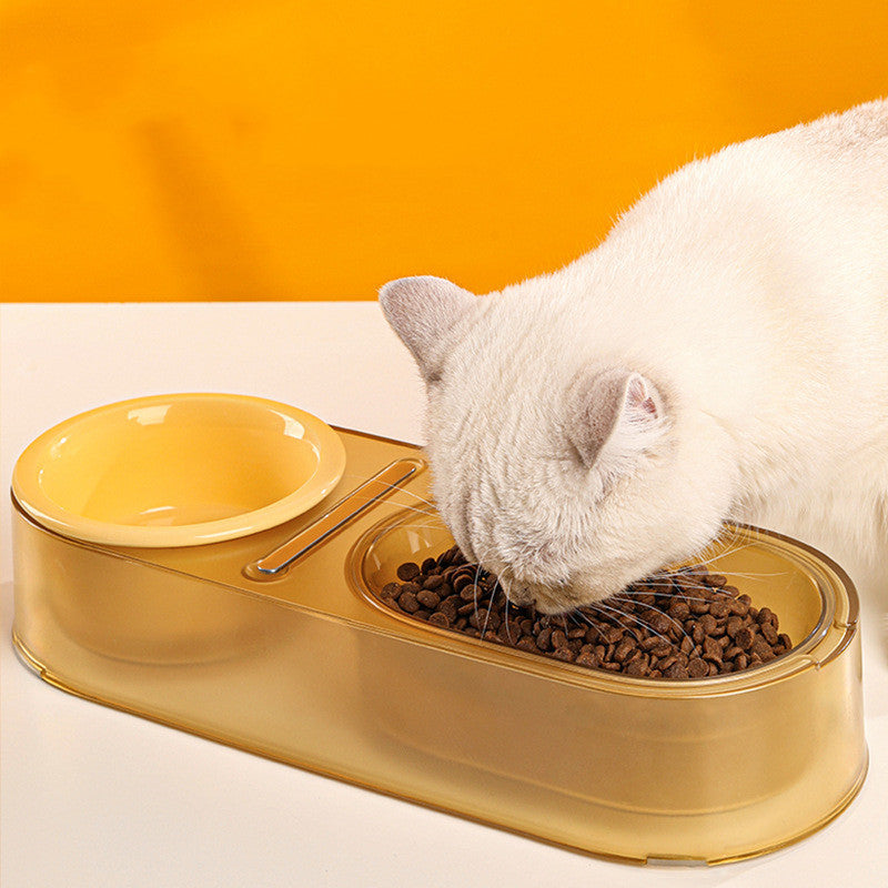 White cat eating from the amber double bowl