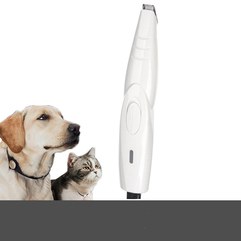 White clipper with a labrador and a cat behind it