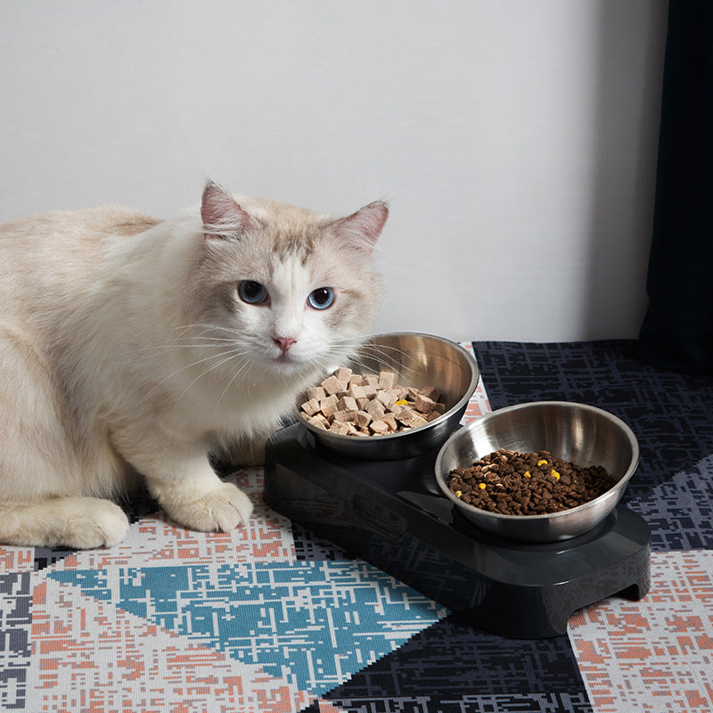 Cat eating from the double bowl stand on a floor mat