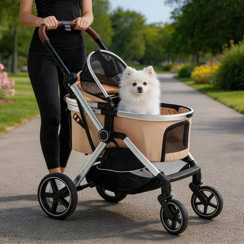 Person pushing the stroller with a pomeranian through a park