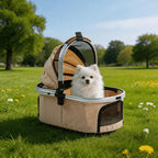 Pomeranian sitting inside the carrier basket on grass