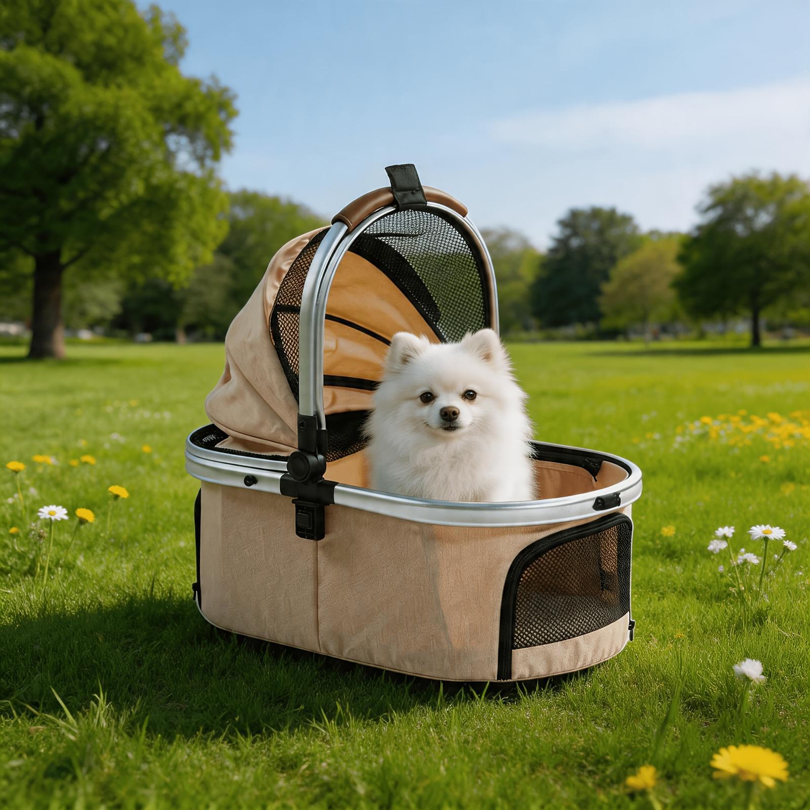 Pomeranian sitting inside the carrier basket on grass