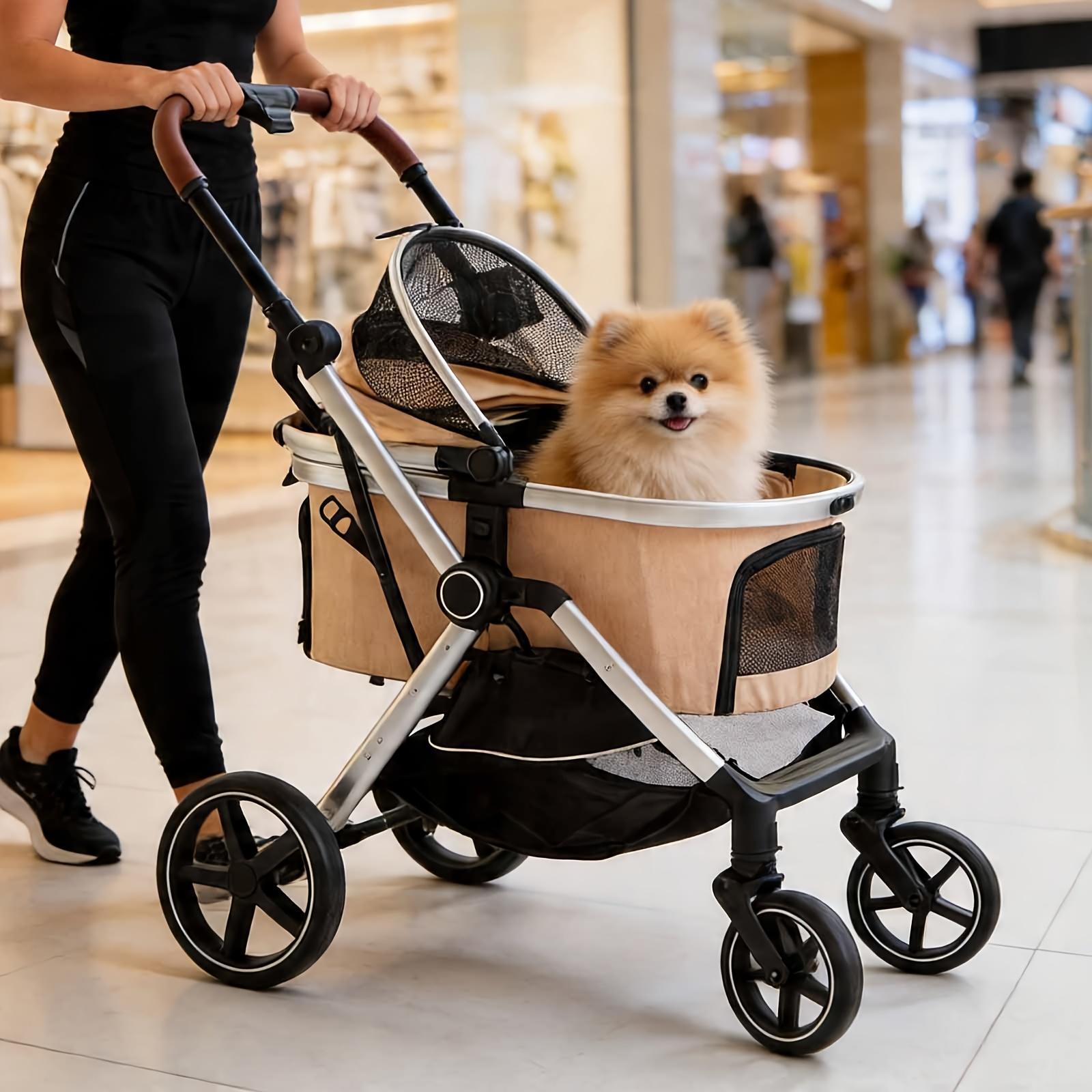 Person pushing the stroller indoors with a pomeranian
