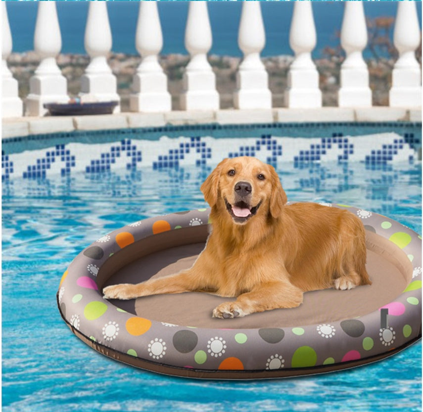 Golden retriever lying on the float in a swimming pool