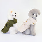 Two bichons wearing the olive and cream coats