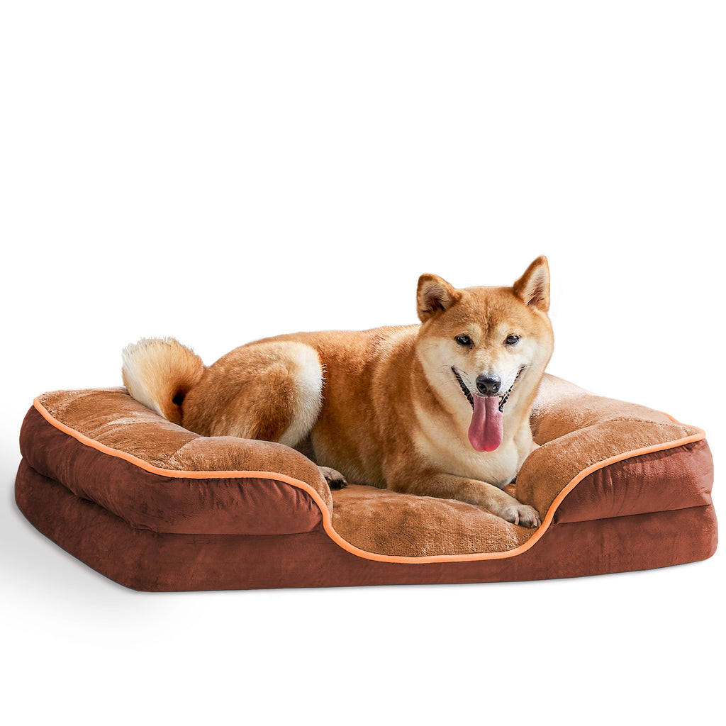 Shiba inu lying on the brown memory foam bed