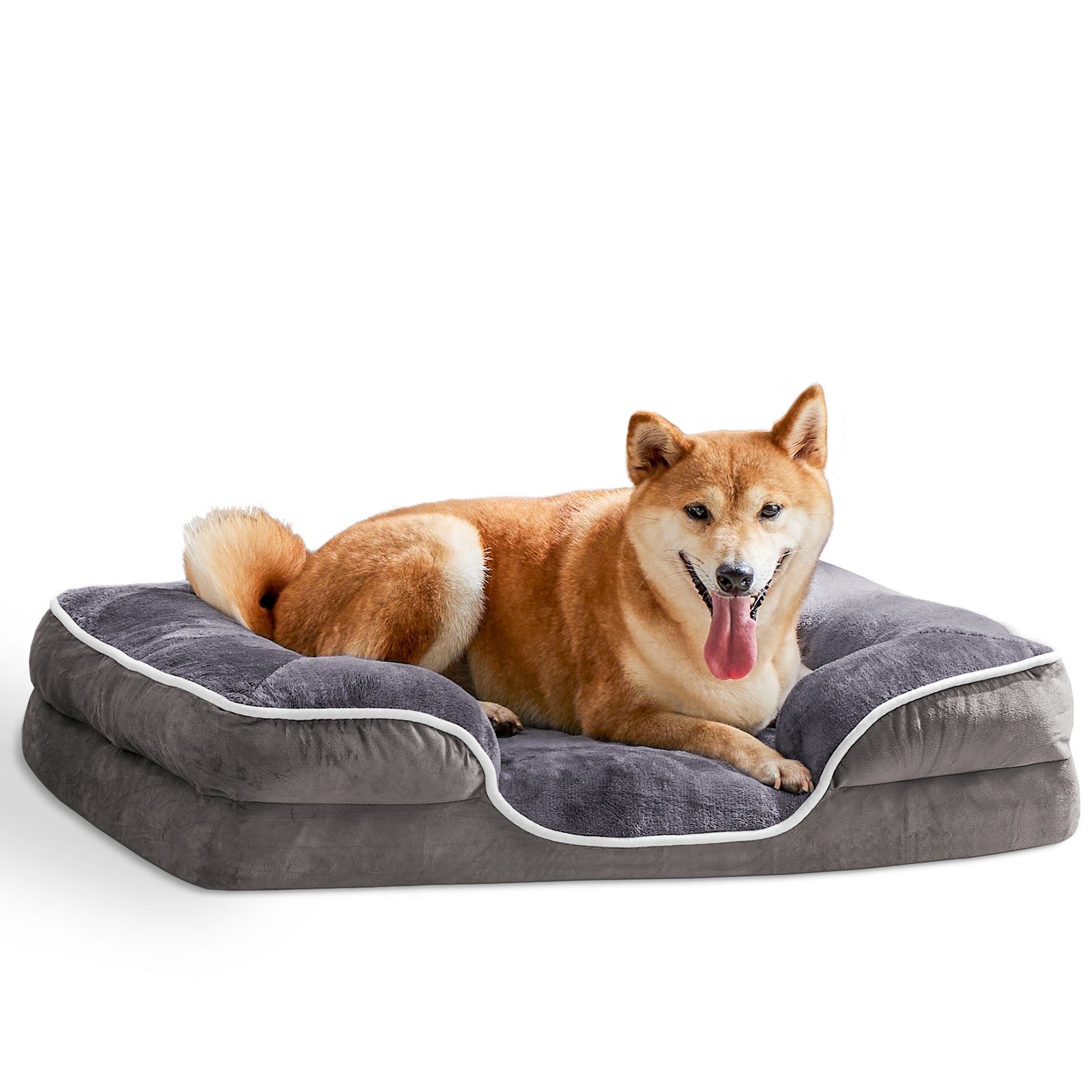 Shiba inu lying on the grey memory foam bed