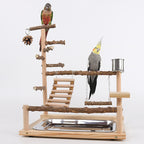 Wooden parrot playstand with a conure and a cockatiel perched