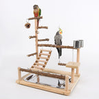 Wooden playstand with two birds, angled view