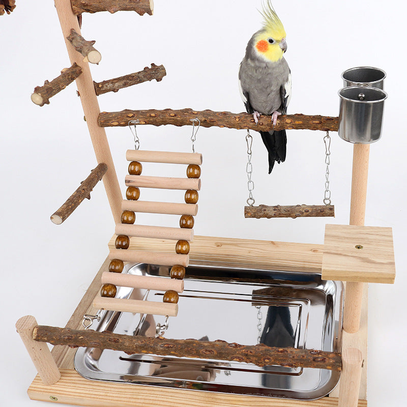 Cockatiel standing on the playstand beside the feed cups
