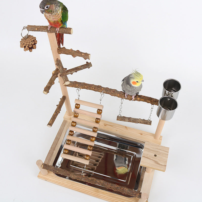 Green conure perched on the top branch of the stand