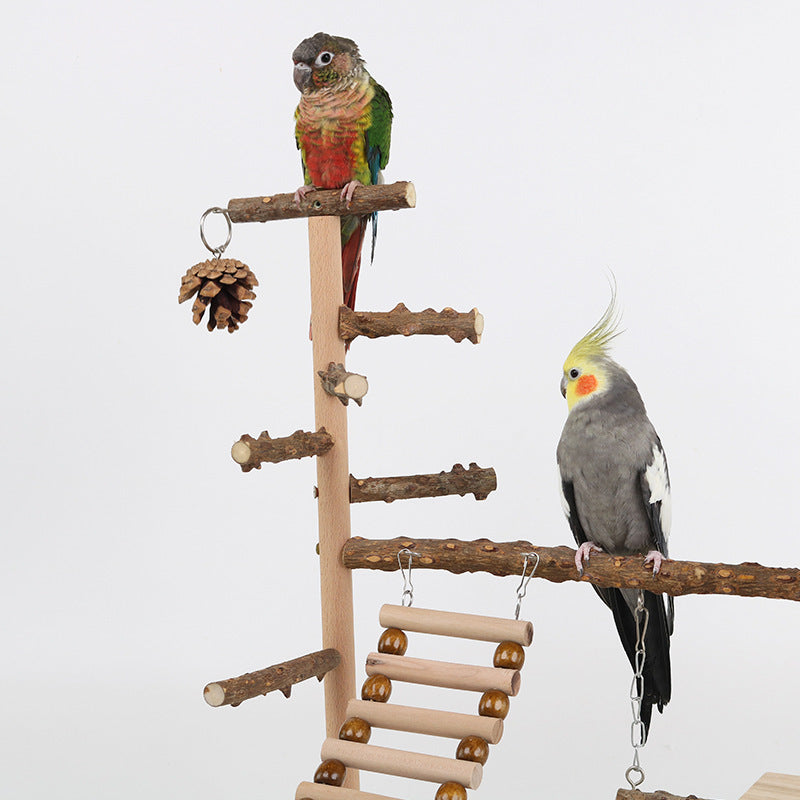 Two cockatiels perched on the wooden climbing stand