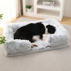 Border collie lying on the grey plush sofa bed