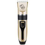 Gold and black clipper with a dog motif, front view