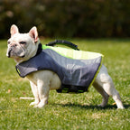 French bulldog in the grey and green life jacket on grass