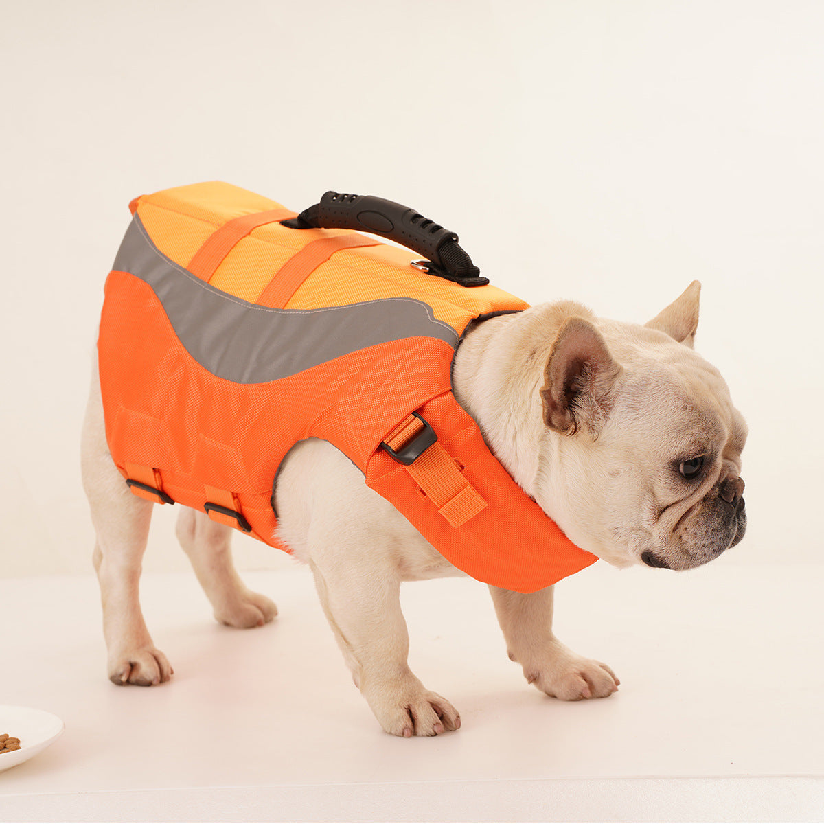 French bulldog wearing the orange reflective life jacket