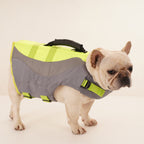 French bulldog wearing the grey and green life jacket
