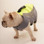 French bulldog in the grey life jacket, side view