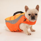 French bulldog in the orange life jacket, front view