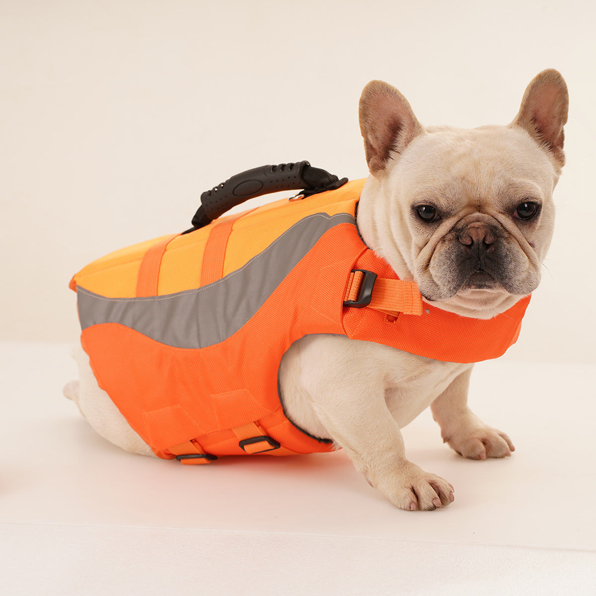 French bulldog in the orange life jacket, front view