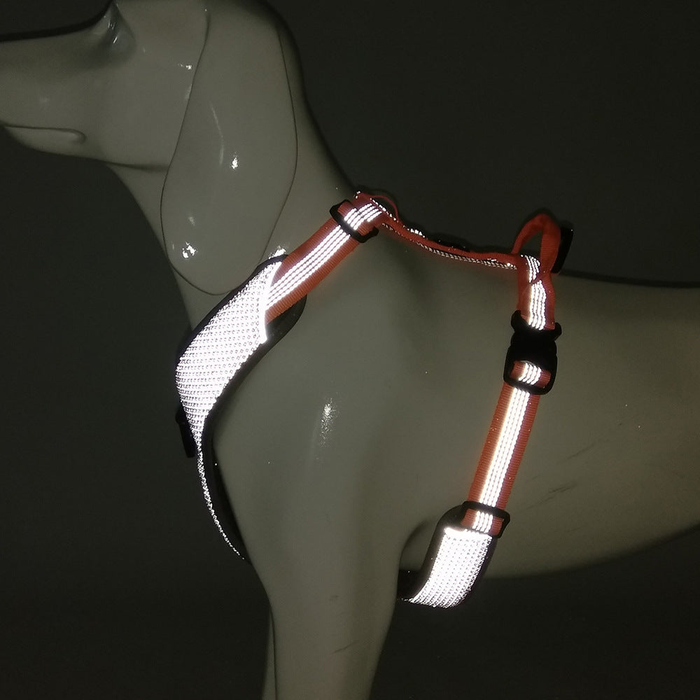 Harness on a dark mannequin with reflective strips catching light
