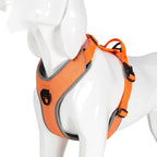 Orange mesh harness fitted on a white mannequin