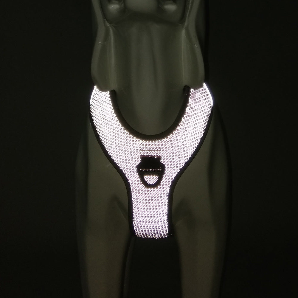 Harness photographed in the dark, reflective panel glowing