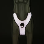 Harness photographed in the dark, reflective panel glowing