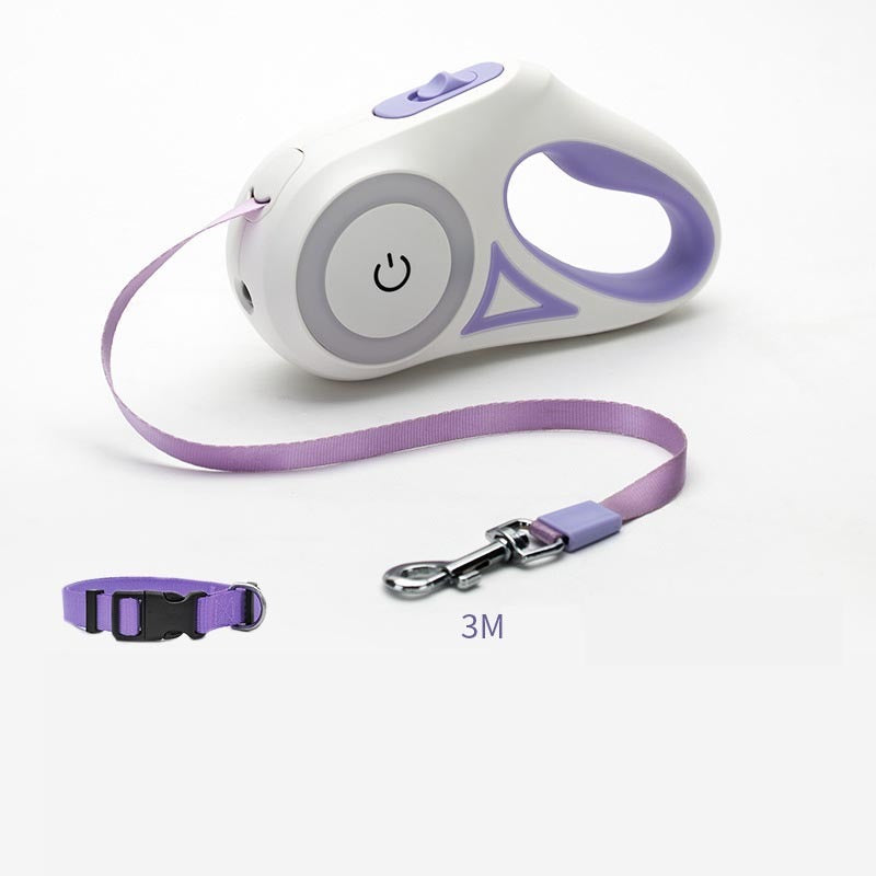 White and purple leash beside a matching collar and strap