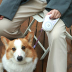 Corgi sitting beside a person holding the lit leash
